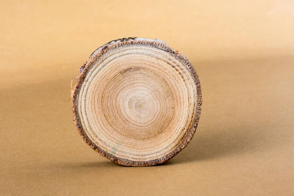 Невеликий Шматок Дерев Яного Журналу Який Використовується Текстури Деревини Фону — стокове фото