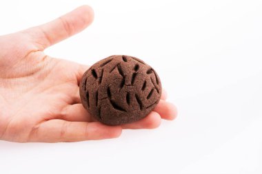 Çikolatalı kurabiye beyaz bir arka plan üzerinde tutan el