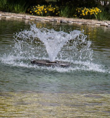 Çeşmeler parktaki bir havuzda köpüklü su fışkırtıyor.