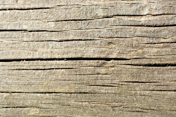 Arkaplan olarak doğal desenli ahşap doku