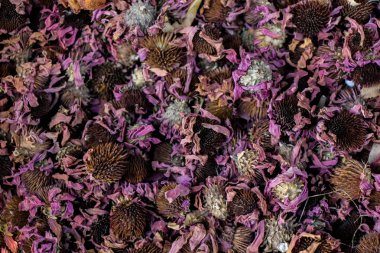 Gıda ve ilaç olarak kuru bitkisel bitkiler