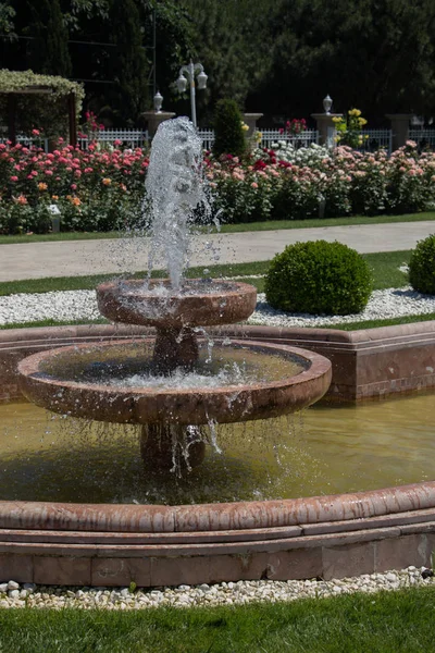 Water Gushing Fountain Rose Garden — Stock Photo, Image