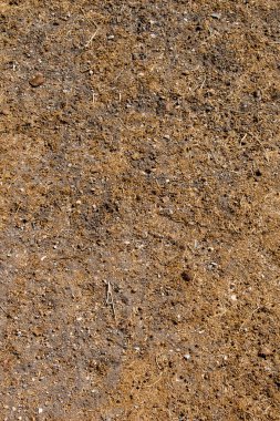 İlkbaharda tarlaya sürülmüş ve izleri var.