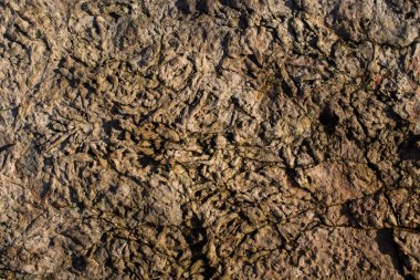 Arka plan dokusu olarak doğal kaya veya taş yüzeyi