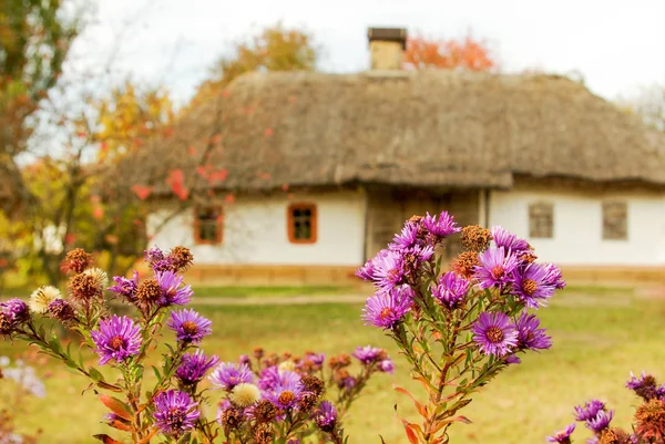 Traditionelles Ukrainisches Bauernhaus Mit Strohdach — Stockfoto