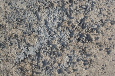 taze beton desenli arka plan