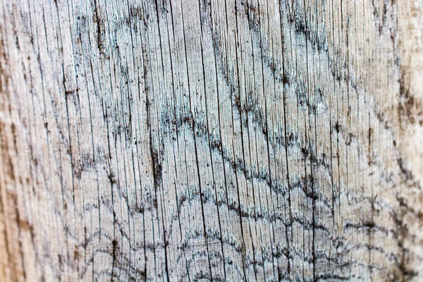 Wood Texture Natural Patterns Background — Stock Photo, Image