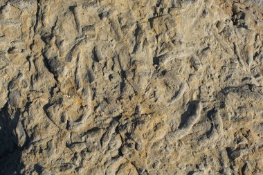 Arka plan dokusu olarak doğal kaya veya taş yüzeyi