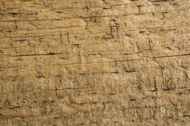 Arkaplan olarak doğal desenli ahşap doku