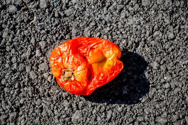 屋外の地面に乾燥赤唐辛子 — ストック写真