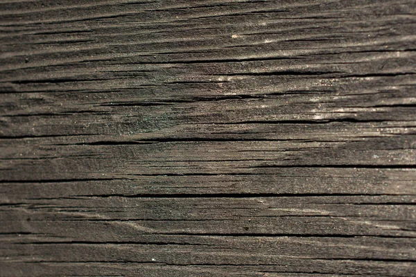 Textura Madera Con Motivos Naturales Como Fondo — Foto de Stock