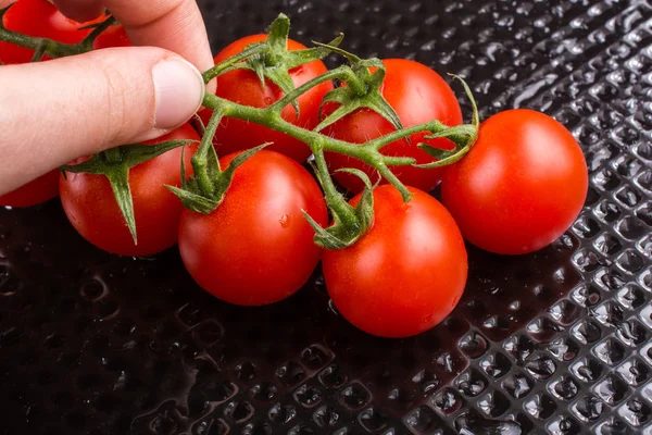 Kilka Czerwony Dojrzałe Smaczne Pomidory Cherry Ręce — Zdjęcie stockowe