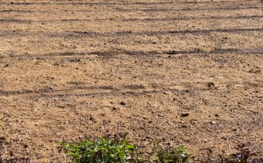 İlkbaharda tarlaya sürülmüş ve izleri var.