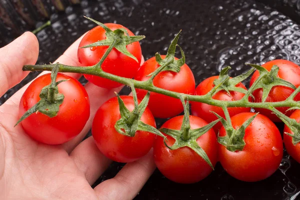 Bando Tomates Cereja Saborosos Maduros Vermelhos Mão — Fotografia de Stock