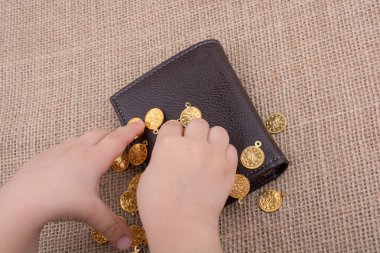 Cüzdan ve bir sürü sahte altın para.