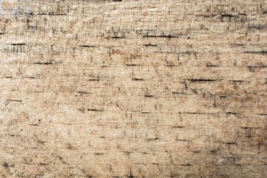 Arkaplan olarak doğal desenli ahşap doku