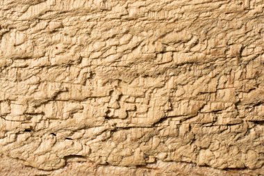 Arkaplan olarak doğal desenli ahşap doku