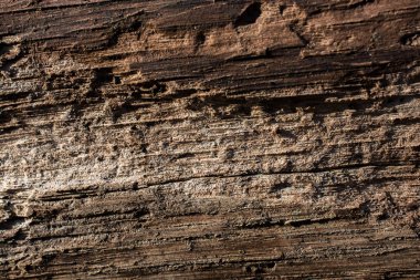 Arkaplan olarak doğal desenli ahşap doku