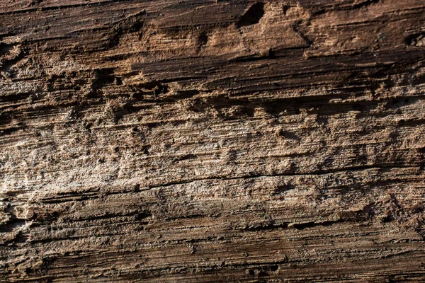 Dřevěné Textury Přírodními Vzory Jako Pozadí — Stock fotografie