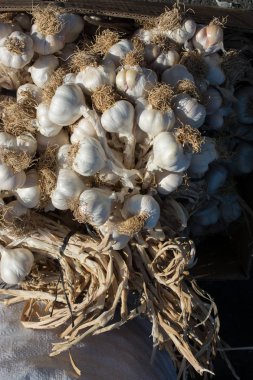 Pazar yerinde bir demet sarımsak soğanı.