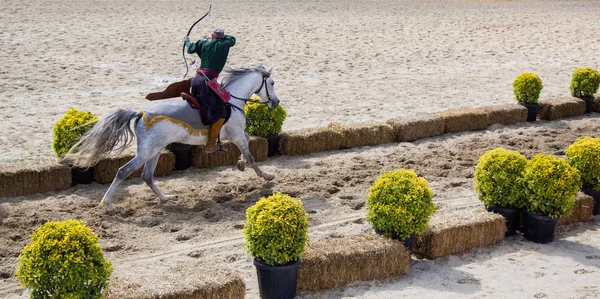 Osmanlı okçusu ata biner ve at sırtında ateş eder.