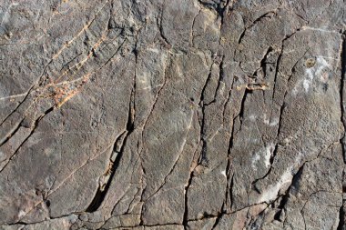 Arka plan dokusu olarak doğal kaya veya taş yüzeyi