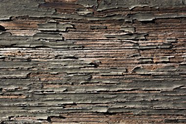 Arkaplan olarak doğal desenli ahşap doku