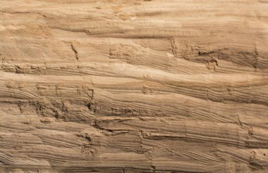 Ahşap doku ve doğal desenler arka plan olarak oyma