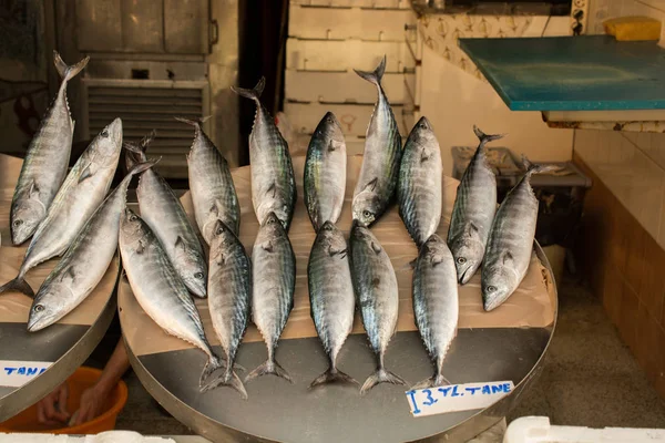 Čerstvé Ryby Nalezené Prodej Rybím Trhu — Stock fotografie