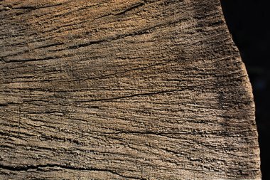 Arkaplan olarak doğal desenli ahşap doku