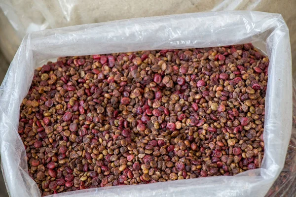 Gıda ve ilaç olarak kuru bitkisel bitkiler