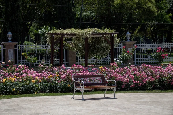 Banco Madeira Encontrado Meio Jardim Rosas — Fotografia de Stock