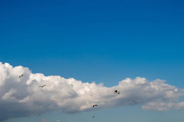 Weiße Wolken Bedecken Den Blauen Himmel Tag — Stockfoto