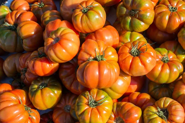 美味的新鲜西红柿在市场上的看法 — 图库照片
