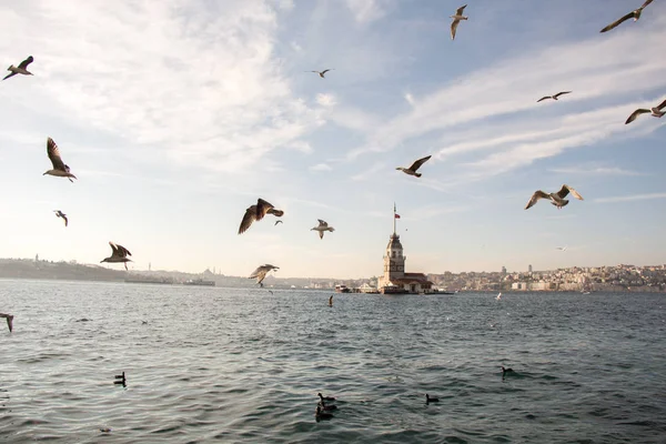 Mädchenturm Mitten Bosporus — Stockfoto