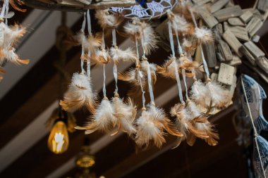 Dekoratif amaçlar için güzel kuş tüyleri