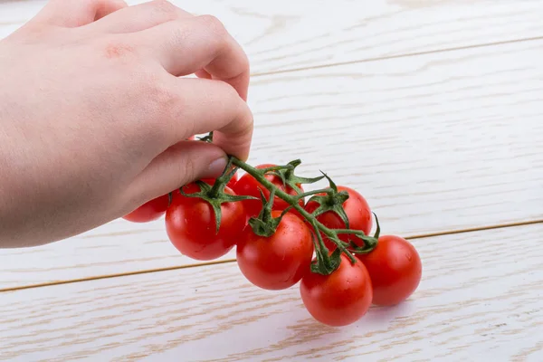 토마토의 — 스톡 사진
