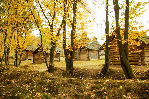 Traditionelles Ukrainisches Bauernhaus Mit Strohdach — Stockfoto