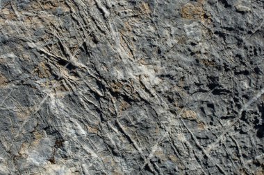 Arka plan dokusu olarak doğal kaya veya taş yüzeyi