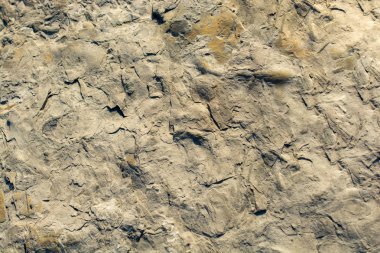 Arka plan dokusu olarak doğal kaya veya taş yüzeyi