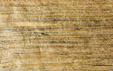 Arkaplan olarak doğal desenli ahşap doku