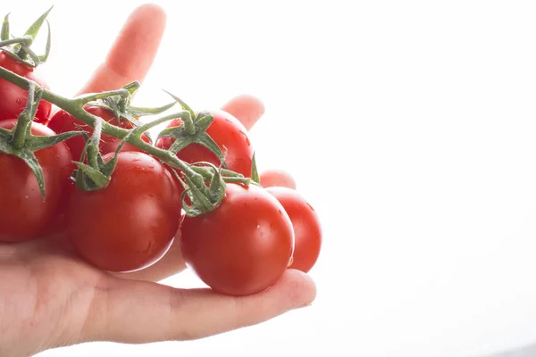 Μάτσο Κόκκινο Ώριμα Νόστιμο Ντομάτες Cherry Στο Χέρι — Φωτογραφία Αρχείου