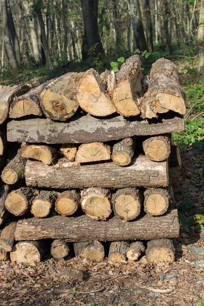 Baumstumpffläche Als Hintergrundstruktur Schneiden — Stockfoto