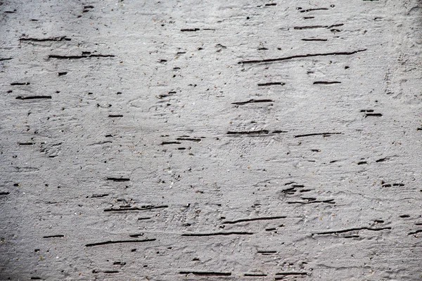 Backdrop Detaily Textury Pozadí Abstraktní Podobě Dřevě — Stock fotografie
