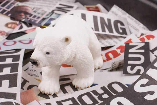 Niedźwiedź Polarny Nacięcie Gazety Tytuły — Zdjęcie stockowe