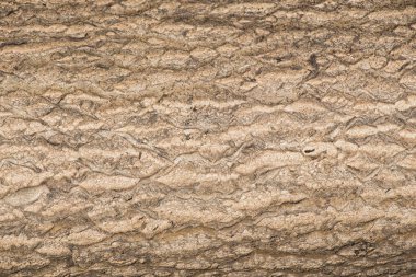 Duvar yüzeyi basit bir arkaplan dokusu deseni olarak