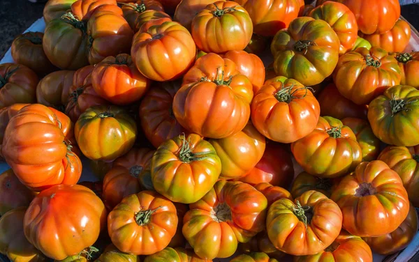 Leckere Frische Tomaten Auf Dem Markt Blick — Stockfoto