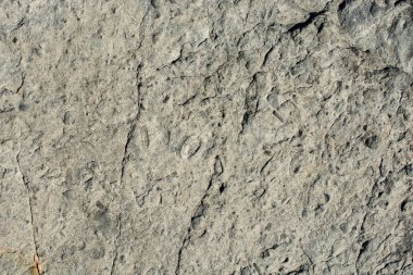 Arka plan dokusu olarak doğal kaya veya taş yüzeyi