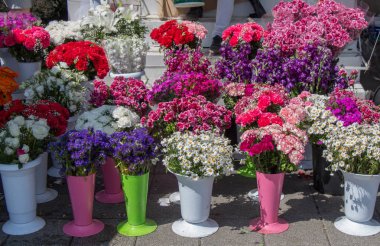 Vazoda çiçek pazarında taze renkli çiçekler