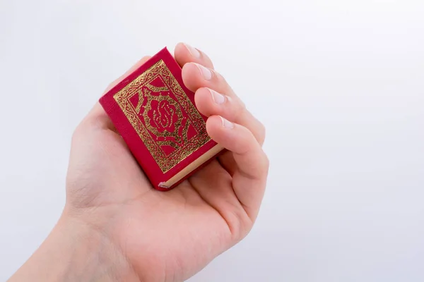 Mão Segurando Alcorão Sagrado Fundo Branco — Fotografia de Stock